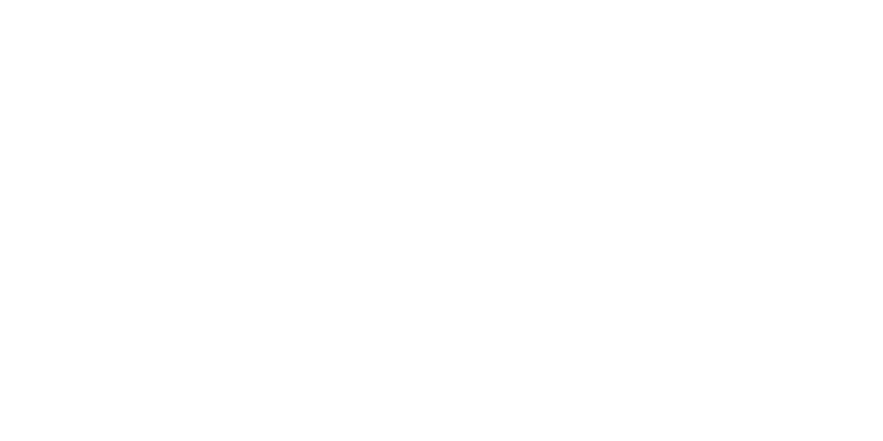 Vannessa Knust Logotipo capa